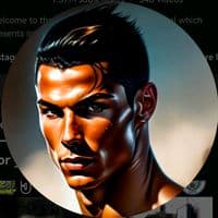 TikTok Account - vbs3125