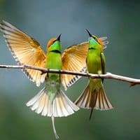 TikTok Account - life11449