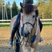 TikTok Account - sohvi_eq