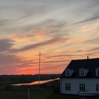 TikTok Account - najamynsterofficial