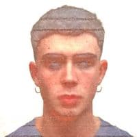 TikTok Account - davidquintna