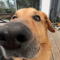 TikTok Account - neoo911