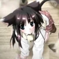 TikTok Account - naooxmii