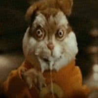 TikTok Account - reckxytesexy