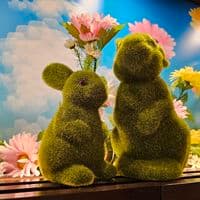 TikTok Account - lekaseee