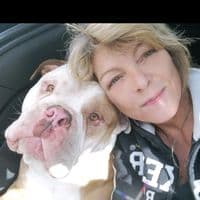 TikTok Account - art_of_marlene