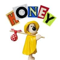 TikTok Account - honeystyle12