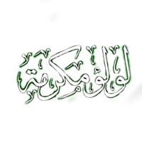 TikTok Account - luluk_097