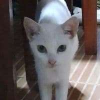 TikTok Account - letuzawa