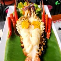 TikTok Account - praneetfuangthong