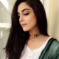TikTok Account - rbegum000