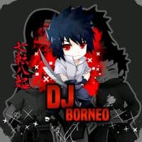 TikTok Account - dj_borneo_remix