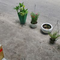 TikTok Account - dinhnuido