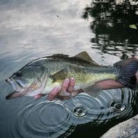 TikTok Account - blueshop006