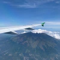 TikTok Account - iamanadraw