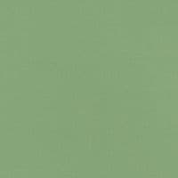 TikTok Account - sam_mv00