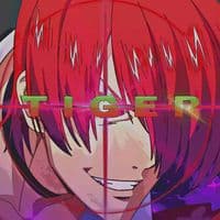 TikTok Account - tigeronthefire