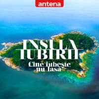 TikTok Account - insulaiubiriiantena1