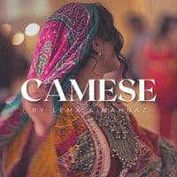 TikTok Account - camese.afghan