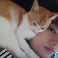 TikTok Account - wanitaintrovert_