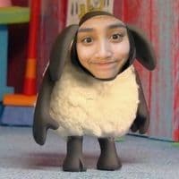 TikTok Account - bundahamster