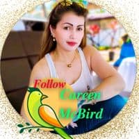 TikTok Account - yadzcar