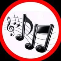 TikTok Account - est1333