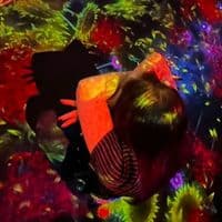 TikTok Account - serendipitiz