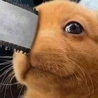 TikTok Account - dxng_itt