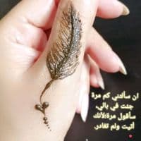 TikTok Account - hennabychocho