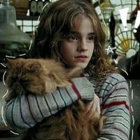 TikTok Account - starxxx333