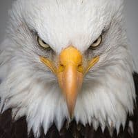 TikTok Account - mestre_on