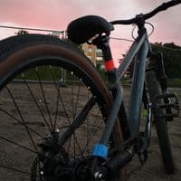 TikTok Account - karpiowa_mrowa_pd