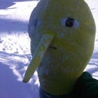 TikTok Account - yvpolo