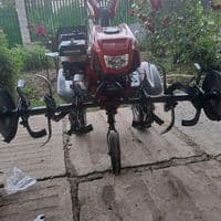 TikTok Account - iuracorciu777