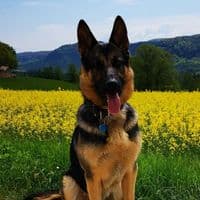 TikTok Account - nitscngcg94