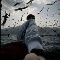 TikTok Account - xaloxr