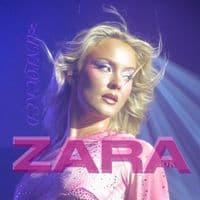 TikTok Account - zl8unlocked