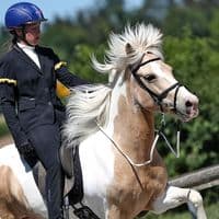 TikTok Account - isi.zeugs