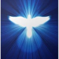 TikTok Account - nimicfaradumnezeu7585