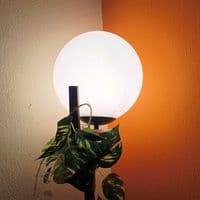 TikTok Account - twinflame_divinejourney