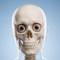 TikTok Account - dr_science_dr