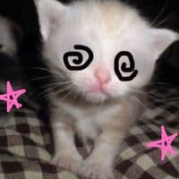 TikTok Account - mcdnlz