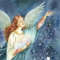 TikTok Account - parie.umar.com