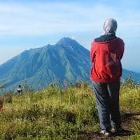 TikTok Account - ayubudi138