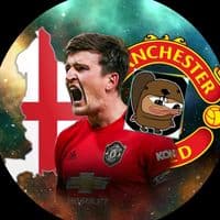 TikTok Account - harrymaguire69_obszaobs
