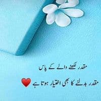 TikTok Account - mshehzadi143