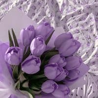 TikTok Account - _lilac.edits_