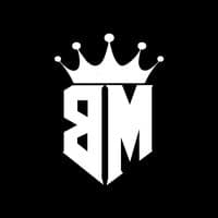 TikTok Account - bm.bassmusic