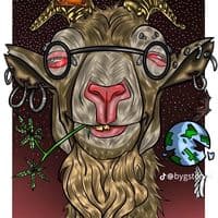 TikTok Account - villaclip